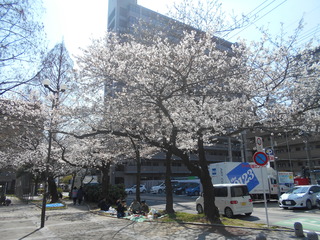 DSCN1475.JPG